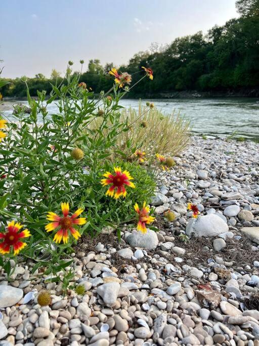 The River Haven - Sleeps 32 - On Guadalupe River Seguin Buitenkant foto